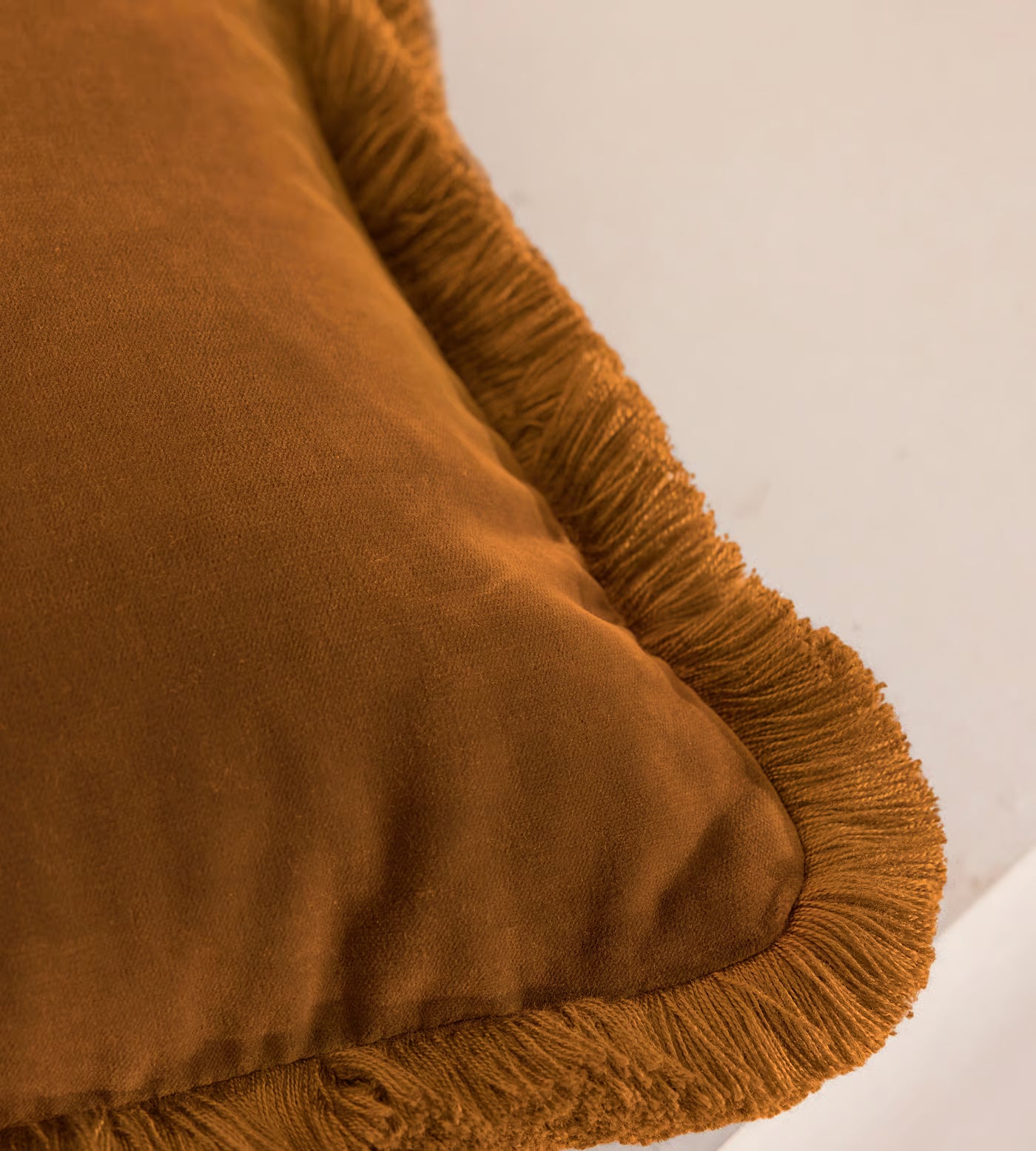 Soft Velvet Lumbar Pillow With Tassels