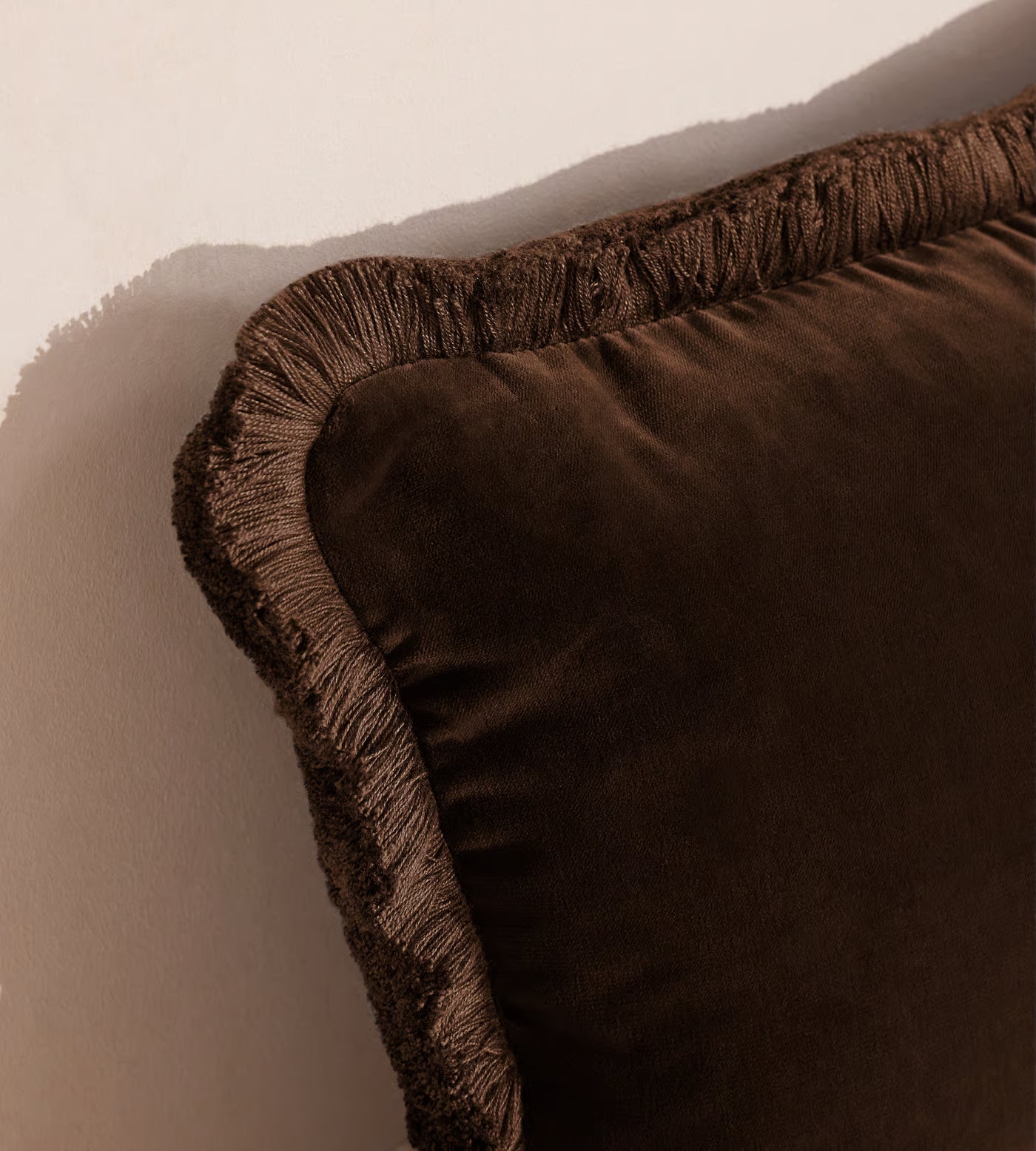 Soft Velvet Lumbar Pillow With Tassels
