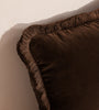 Soft Velvet Lumbar Pillow With Tassels