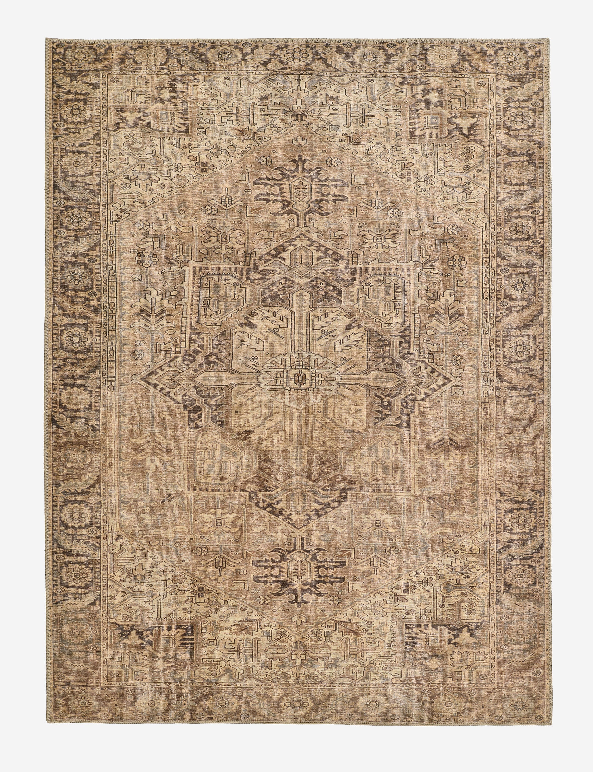Antique Heritage Medallion Area Rug
